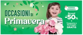 Volantino Mondo Camerette  | Occasioni di primavera | 2/4/2025 - 30/6/2025