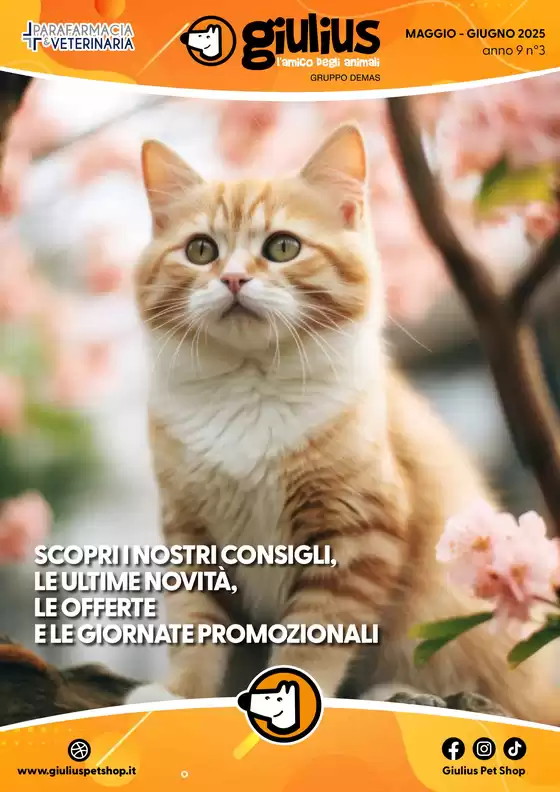 Volantino Giulius a Roma | Maggio - Giugno 2025 | 2/5/2025 - 30/6/2025
