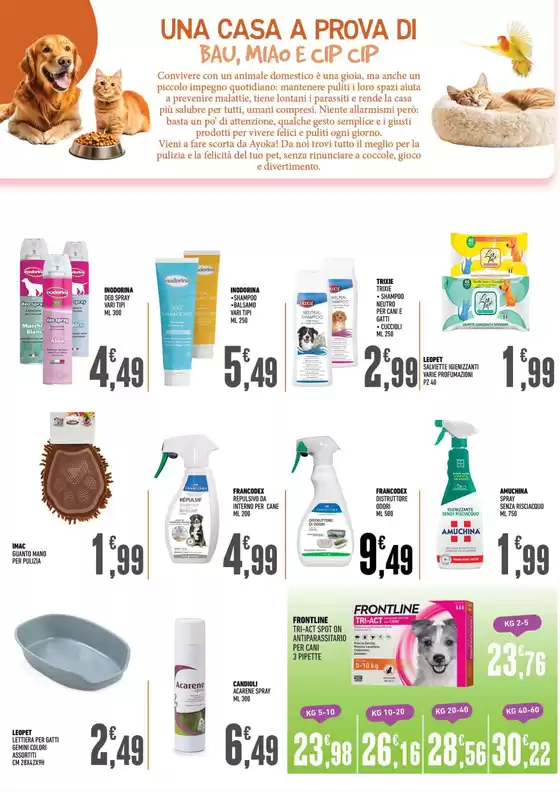 Volantino Ayoka | Offerte valide dal 5 al 25 maggio | 5/5/2025 - 25/5/2025