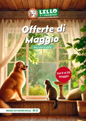 Offerte di Animali a Modugno | Offerte di maggio in Lillo e i Vagabondi | 9/5/2025 - 31/5/2025