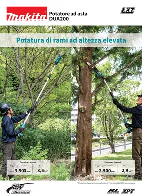 Offerte di Bricolage a Grisolia | Potatura di rami ad altezza elevata in Makita | 20/5/2025 - 31/5/2025