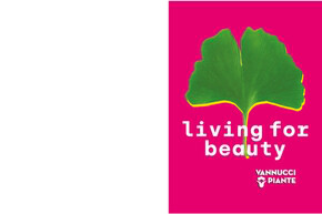 Volantino Vannucci piante | Living for beauty | 12/9/2022 - 31/12/2023