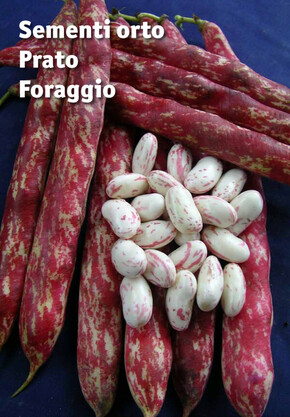 Volantino Ingegnoli | Sementi orto Prato Foraggio | 4/11/2022 - 31/12/2023
