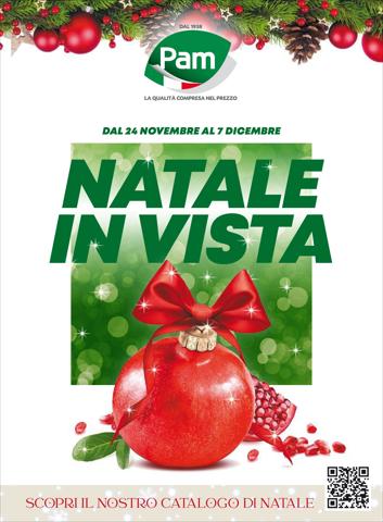 Volantino Pam a Torino | Natale in vista | 24/11/2022 - 7/12/2022