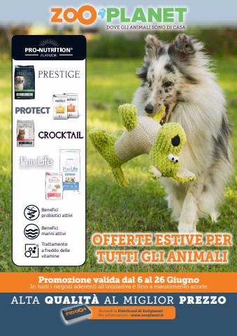 Offerte di Animali | Offerte estive per tutti gli animali! in ZooPlanet | 6/6/2022 - 26/6/2022