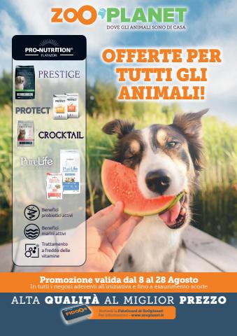Offerte di Animali a Brescia | Offerte per tutti gli animali! in ZooPlanet | 8/8/2022 - 28/8/2022