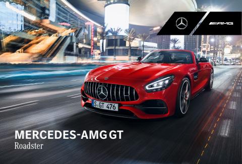 Volantino Mercedes-Benz | Mercedes-AMG GT | 28/1/2022 - 31/12/2022