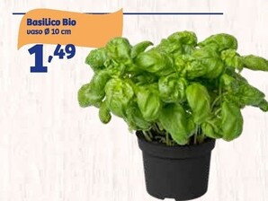 Offerta per Basilico Bio a 1,49€ in IN'S