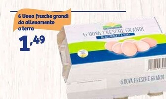 Offerta per 6 Uoua Fresche Grandi Da Allevamento a 1,49€ in IN'S