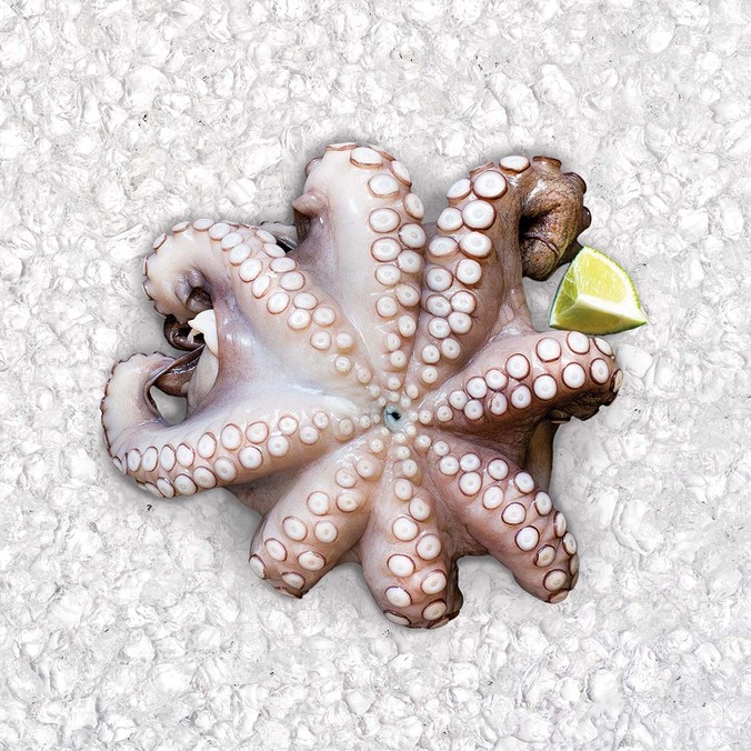 Offerta per Polpo piccolo a 12,9€ in Sapore di Mare