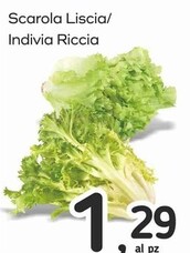Offerta per Scarola Liscia / Indivia Riccia a 1,29€ in Famila Superstore