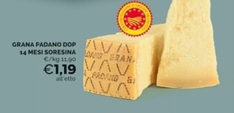 Offerta per Grana Padano Dop 14 Mesi Soresina a 1,19€ in Mercatò