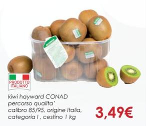 Offerta per  Conad - Kiwi Hayward Percorso Qualità Calibro 85/95 a 3,49€ in Conad