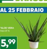 Offerta per Aloe Vera a 5,99€ in Dpiu