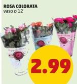 Offerta per Rosa Colorata a 2,99€ in PENNY