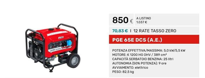 Offerta per PGE 65E DCS a 850€ in Efco