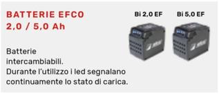 Offerta per Batterie EFCO 2,0 / 5,0 Ah in Efco