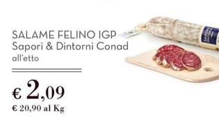 Offerta per Conad - Sapori & Dintorni Salame Felino IGP a 2,09€ in Conad