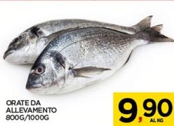 Offerta per Orate Da Allevamento a 9,9€ in Interspar