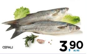 Offerta per Pesce a 3,9€ in Interspar
