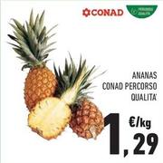 Offerta per Conad - Ananas Percorso Qualita' a 1,29€ in Conad City