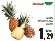 Offerta per Conad - Ananas Percorso Qualita' a 1,29€ in Conad