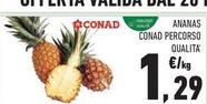 Offerta per Conad - Ananas Percorso Qualita' a 1,29€ in Margherita Conad
