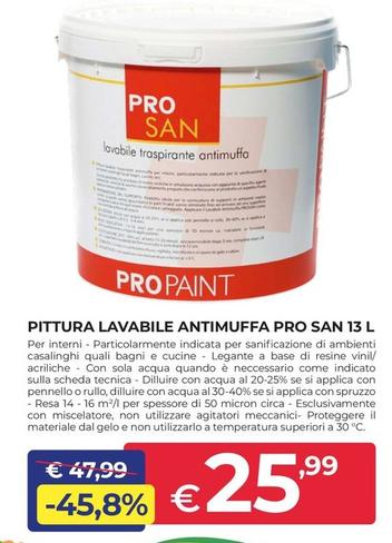 Offerta per Pittura Lavabile Antimuffa Pro San 13 L a 25,99€ in Progress