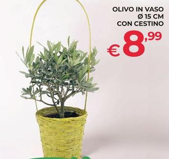 Offerta per Olivo In Vaso 15 Cm a 8,99€ in Progress