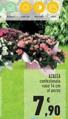 Offerta per Azalea a 7,9€ in Conad