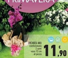 Offerta per Orchidea Mix a 11,9€ in Conad