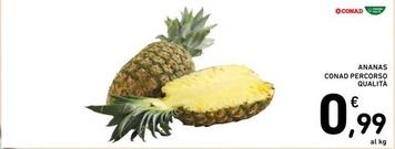Offerta per Conad - Ananas Percorso Qualità a 0,99€ in Spazio Conad