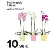Offerta per Phalenopsis 2 Rami a 10,98€ in Carrefour Ipermercati