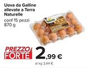 Offerta per Le Naturelle - Uova Da Galline Allevate A Terra a 2,99€ in Carrefour Ipermercati