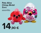 Offerta per Pets Alive Chirpy Birds! Zuru a 14,9€ in Carrefour Ipermercati