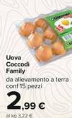 Offerta per Coccodì - Uova Family a 2,99€ in Carrefour Ipermercati