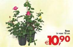 Offerta per Rosa a 10,9€ in Decò