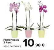 Offerta per Phalenopsis 2 Rami a 10,98€ in Carrefour Market