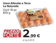 Offerta per Le Naturelle - Uova Allevate A Terra a 2,99€ in Carrefour Market