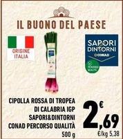 Offerta per Conad - Cipolla Rossa Di Tropea Di Calabria IGP Sapori&Dintorni Percorso Qualità a 2,69€ in Conad City