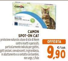 Offerta per Shampoo a 9,9€ in Pet Store Conad