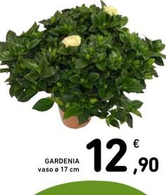 Offerta per Gardenia a 12,9€ in Spazio Conad