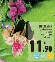Offerta per Orchidea Mix a 11,9€ in Conad