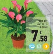 Offerta per Calla Mix a 7,58€ in Conad