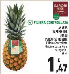 Offerta per Conad - Ananas Sapori&Idee Percorso Qualita a 1,47€ in Conad City