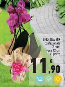 Offerta per Orchidea Mix a 11,9€ in Conad City