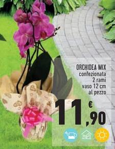 Offerta per Orchidea Mix a 11,9€ in Conad City