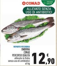 Offerta per Pesce a 12,9€ in Conad Superstore