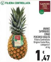 Offerta per Ananas a 1,47€ in Conad Superstore