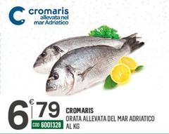 Offerta per Cromaris - Orata Allevata Del Mar Adriatico a 6,79€ in Tutto Risparmio Cash&Carry